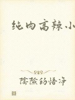 纯肉高辣小说