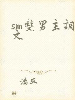 sm双男主调教文封面