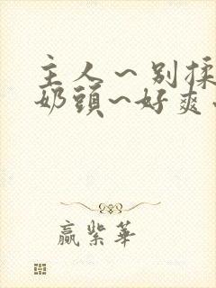 主人～别揉了～奶头~好爽小说