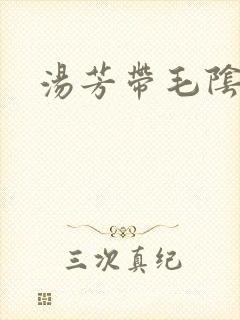 汤芳带毛阴部