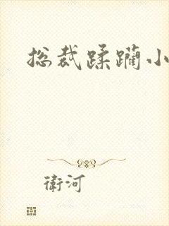 总裁蹂躏小娇妻封面