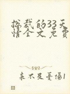 总裁的33天索情全文免费阅读