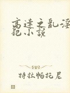 高达之乱淫h侵犯小说封面