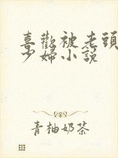 喜欢被老头操的少妇小说封面