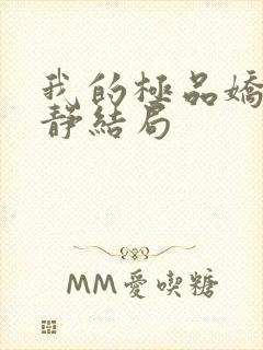 我的极品娇妻白静结局