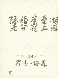 隐婚蜜爱:偏执老公宠上瘾小说完整版