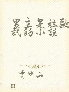 男主是姓欧的总裁的小说