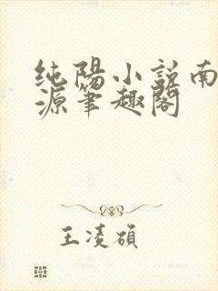 纯阳小说南北宗源笔趣阁