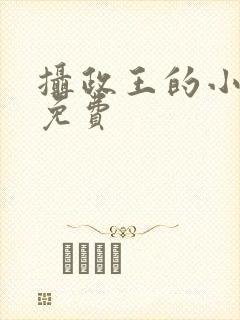 摄政王的小闲妻免费