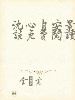 沈心月安景川小说免费阅读最新章节