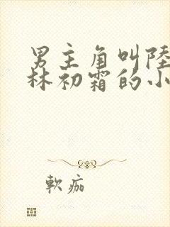 男主角叫陆怀瑾林初霜的小说