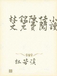 林铭陈佳小说全文免费阅读最新章节封面