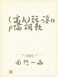 (高h)玩淫np伦调教