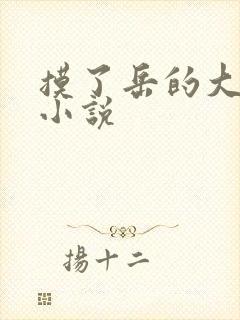 摸了岳的大乳奶小说封面