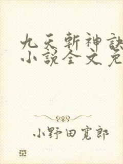 九天斩神诀林辰小说全文免费阅读