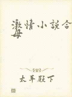 激情小说合集岳母