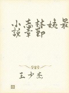 小志林姨最新小说章节