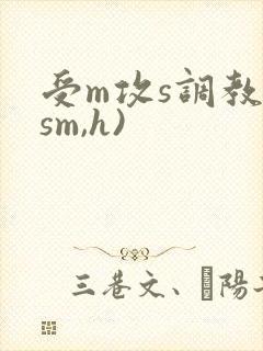 受m攻s调教(sm,h)封面