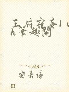 王府宠妾1ⅴ1h笔趣阁