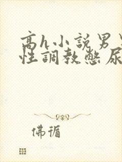 高h小说男男双性调教憋尿