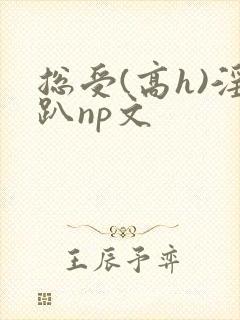 总受(高h)淫趴np文