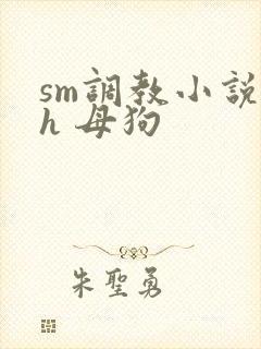 sm调教小说高h 母狗