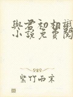 与君初相识原著小说免费阅读