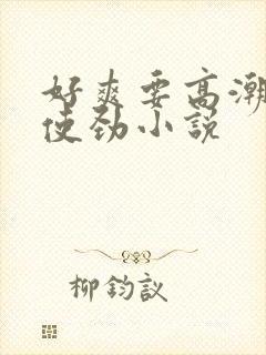 好爽要高潮了快使劲小说