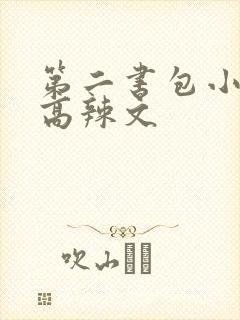 第二书包小说网高辣文