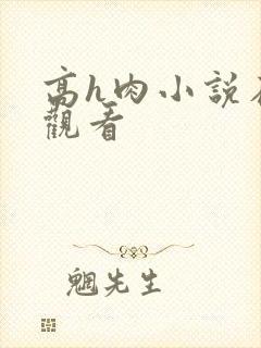 高h肉小说在线观看