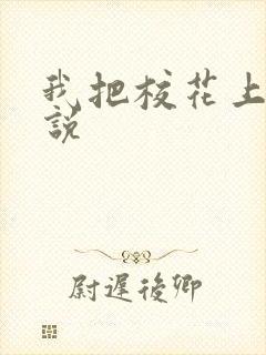 我把校花上了小说