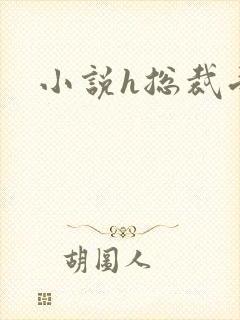 小说h总裁受封面