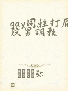 gay同性打屁股男调教