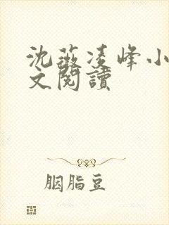 沈薇凌峰小说全文阅读