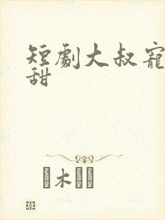 短剧大叔宠妻超甜