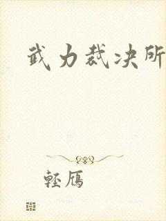 武力裁决所封面