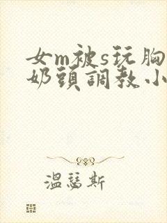 女m被s玩胸虐奶头调教小说封面