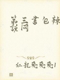 第三书包辣文小说网