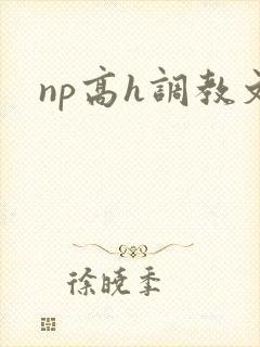 np高h调教文封面
