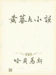 黄蓉h小说