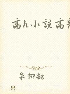 高h小说高辣文