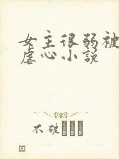 女主很弱被虐身虐心小说