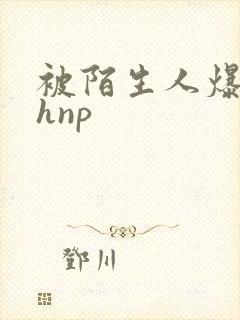 被陌生人爆c高hnp