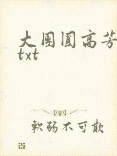 大团圆高芳小说txt