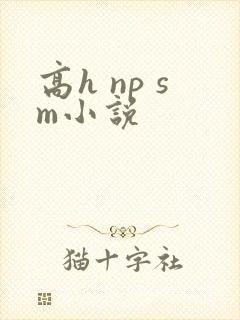 高h np sm小说