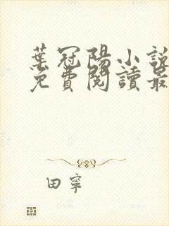 叶冠阳小说全文免费阅读最新章节