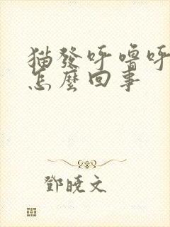 猫发呼噜呼噜声怎么回事封面