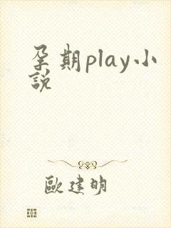 孕期play小说