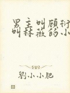 男主叫顾衍女主叫林薇的小说