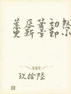 叶辰萧初然最新更新章节小说